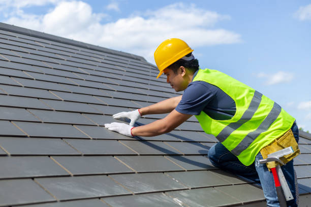 Roof Gutter Cleaning in Petersburg, AK