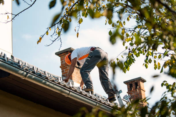 Quick and Trustworthy Emergency Roof Repair Services in Petersburg, AK