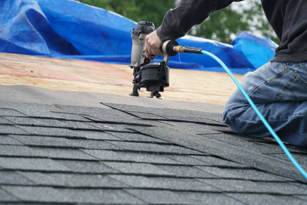Best Flat Roof Repair Services  in Petersburg, AK