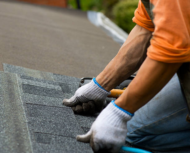 Best Local Roofing Companies  in Petersburg, AK