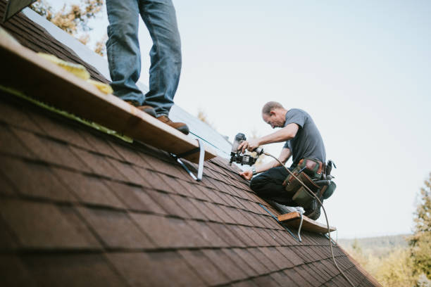 Best New Roof Installation  in Petersburg, AK