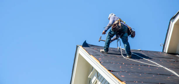 Best Roof Repair Specialists  in Petersburg, AK